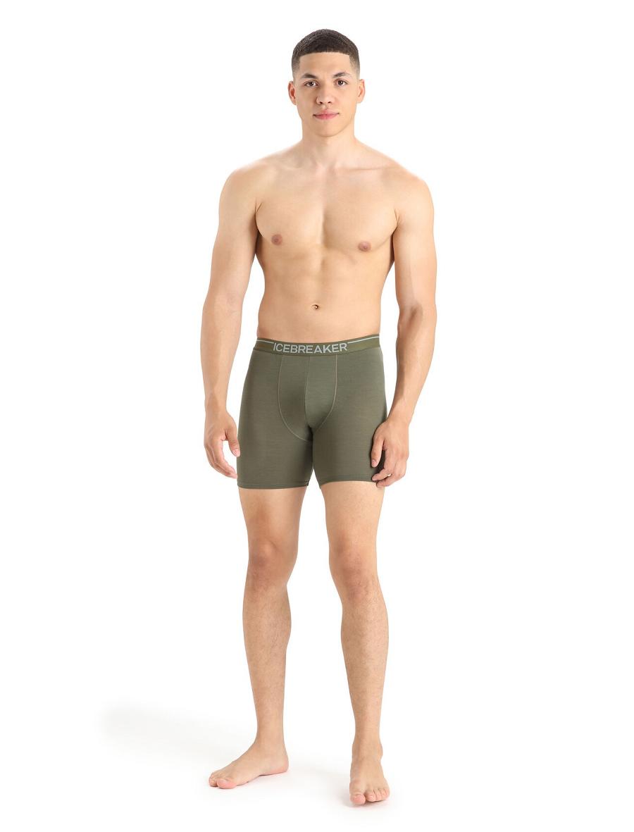 Loden Men's Icebreaker Merino Anatomica Long Boxers Underwear | USA 1284YXFU